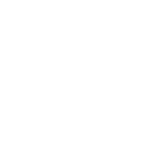 Clock and gear icon symbolizing project efficiency and speed